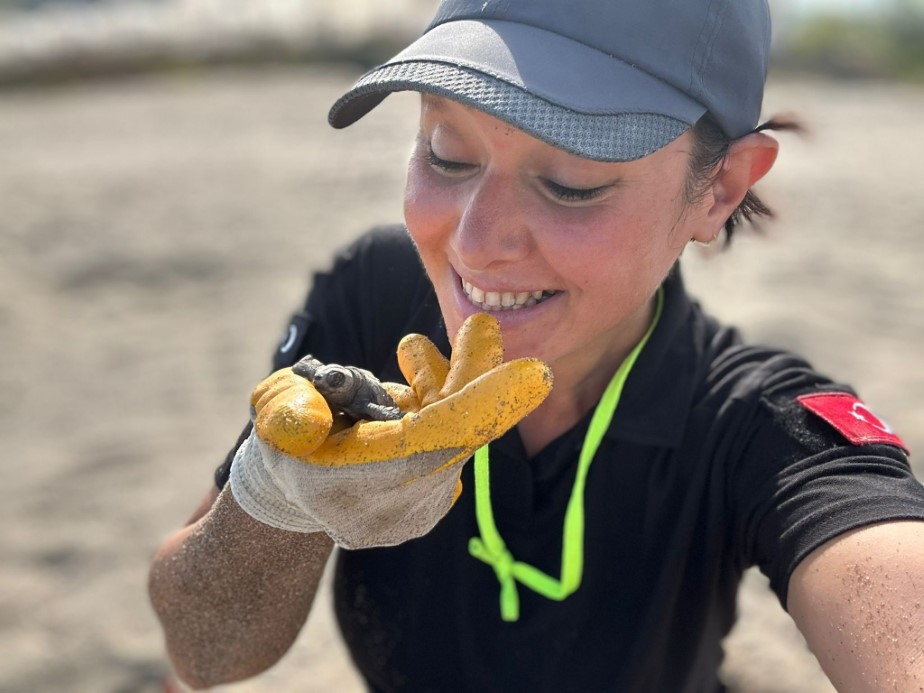 Antalya Gazipaşa’da Yavru Caretta Carettaların Korunması İçin Gece Nöbeti
