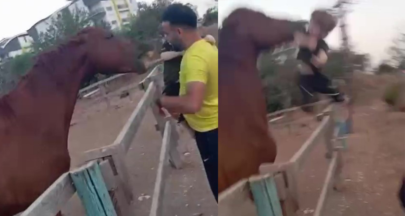 Antalya’da Şaşırtan Olay: Çocuk At Tarafından Havaya Fırlatıldı