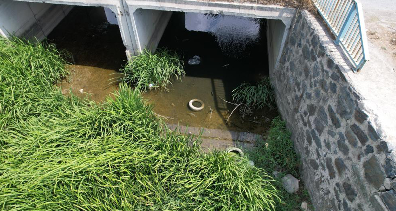 Arnavutköy’de Alibey Deresi’ndeki Kirlilik Endişe Yaratıyor