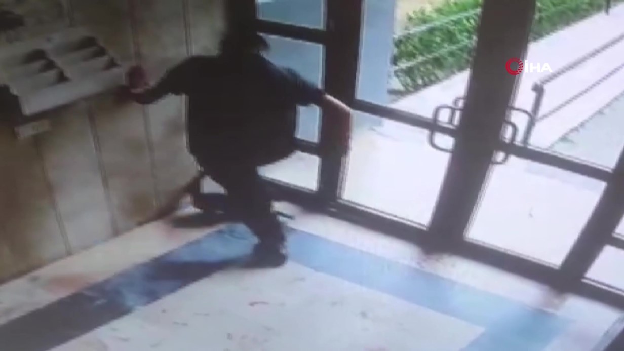 Başakşehir’de Kediye Şiddet Uygulayan Kişi Tutuklandı