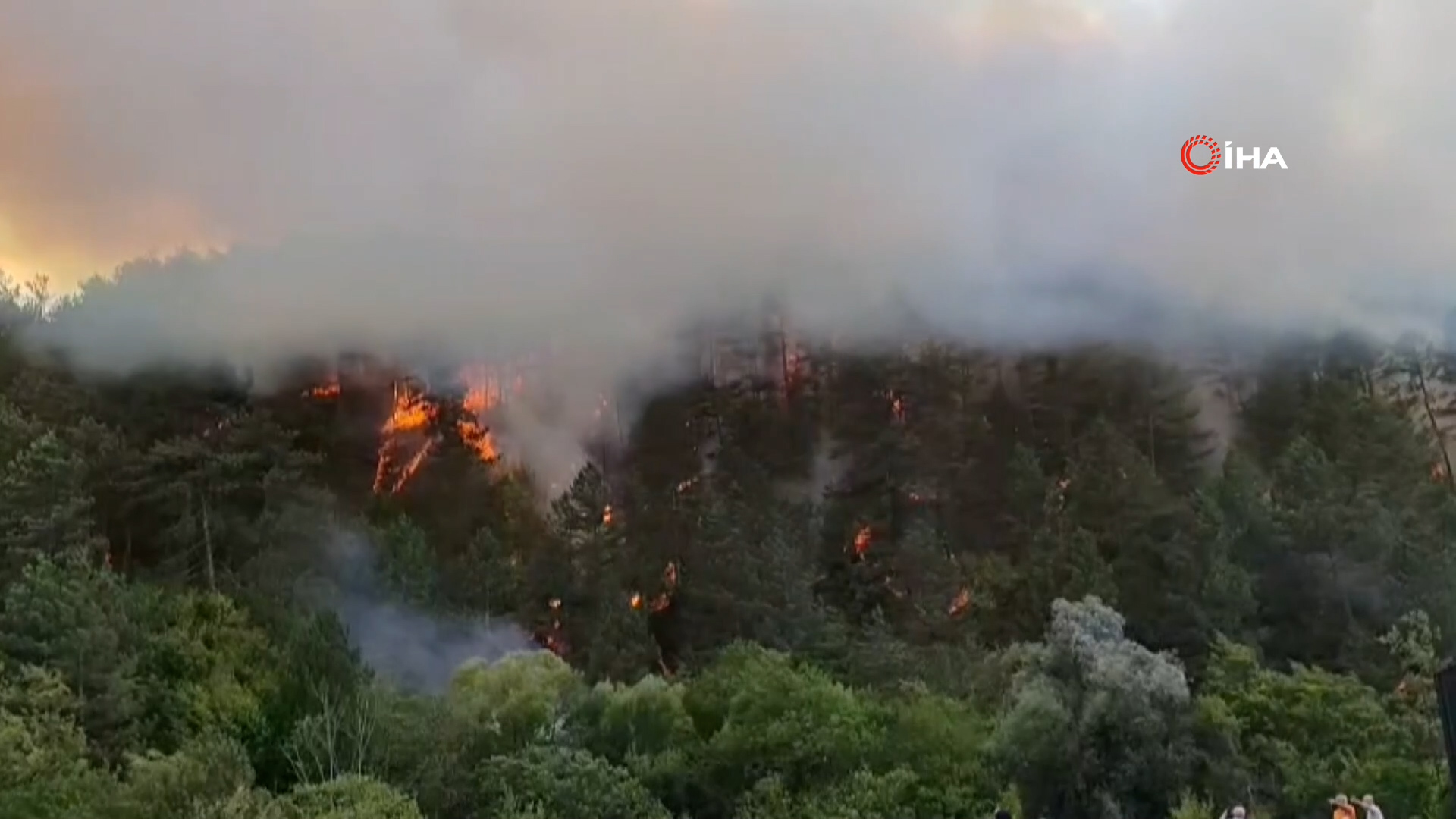 Bolu Mengen’de Orman Yangını Kontrol Altına Alınmaya Çalışılıyor