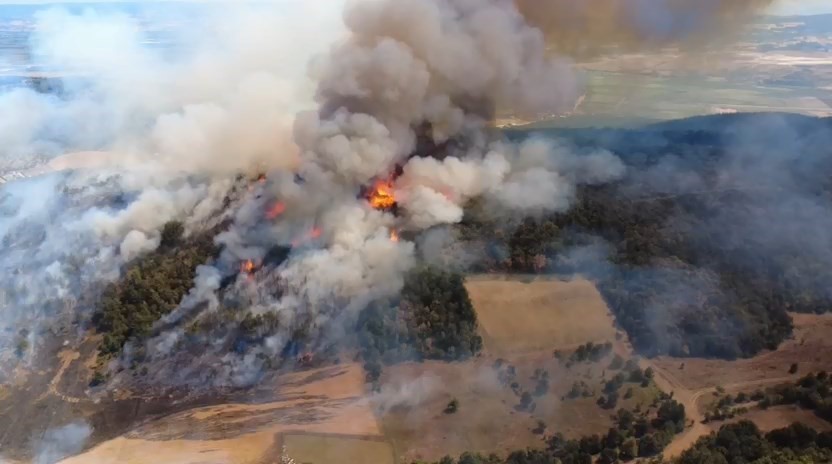 Bursa Yenişehir’de Çıkan Orman Yangını Kontrol Altında
