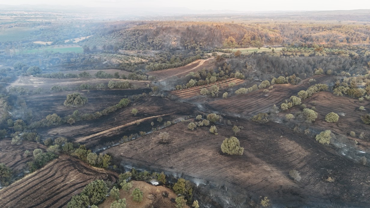Çanakkale Saçaklı Köyü, Orman Yangını Sonrası Harabeye Döndü