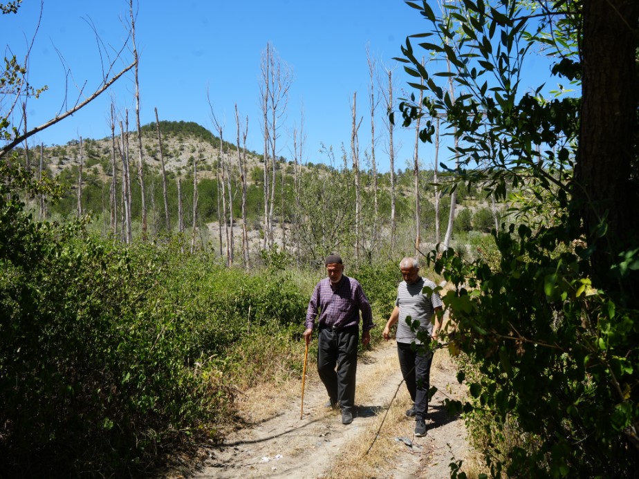 Emekli Polis Memurunun 32 Yıllık Yeşil Çaba: Binlerce Fidan Dikti