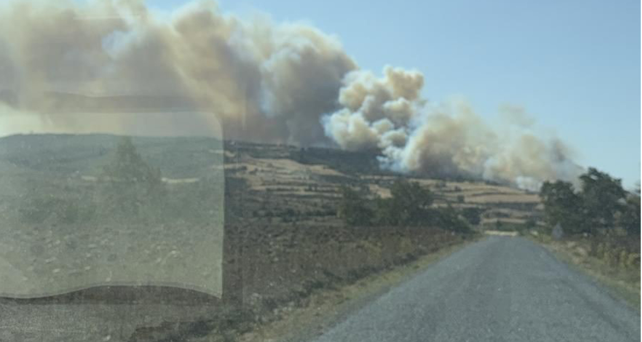 Gelibolu İlçesi’nde Korkutan Orman Yangını