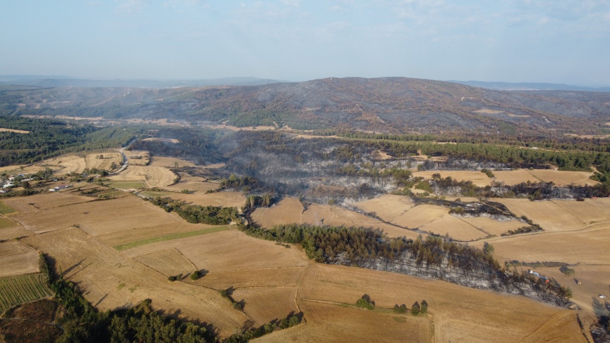 Gelibolu Orman Yangınında Büyük Zarar: Dron ile Tahribat Kaydedildi