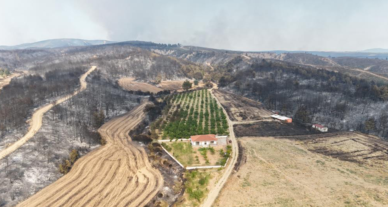Gelibolu’da Yangından Yeşil Kurtuluş: Ceviz Bahçesi Nasıl Korundu?