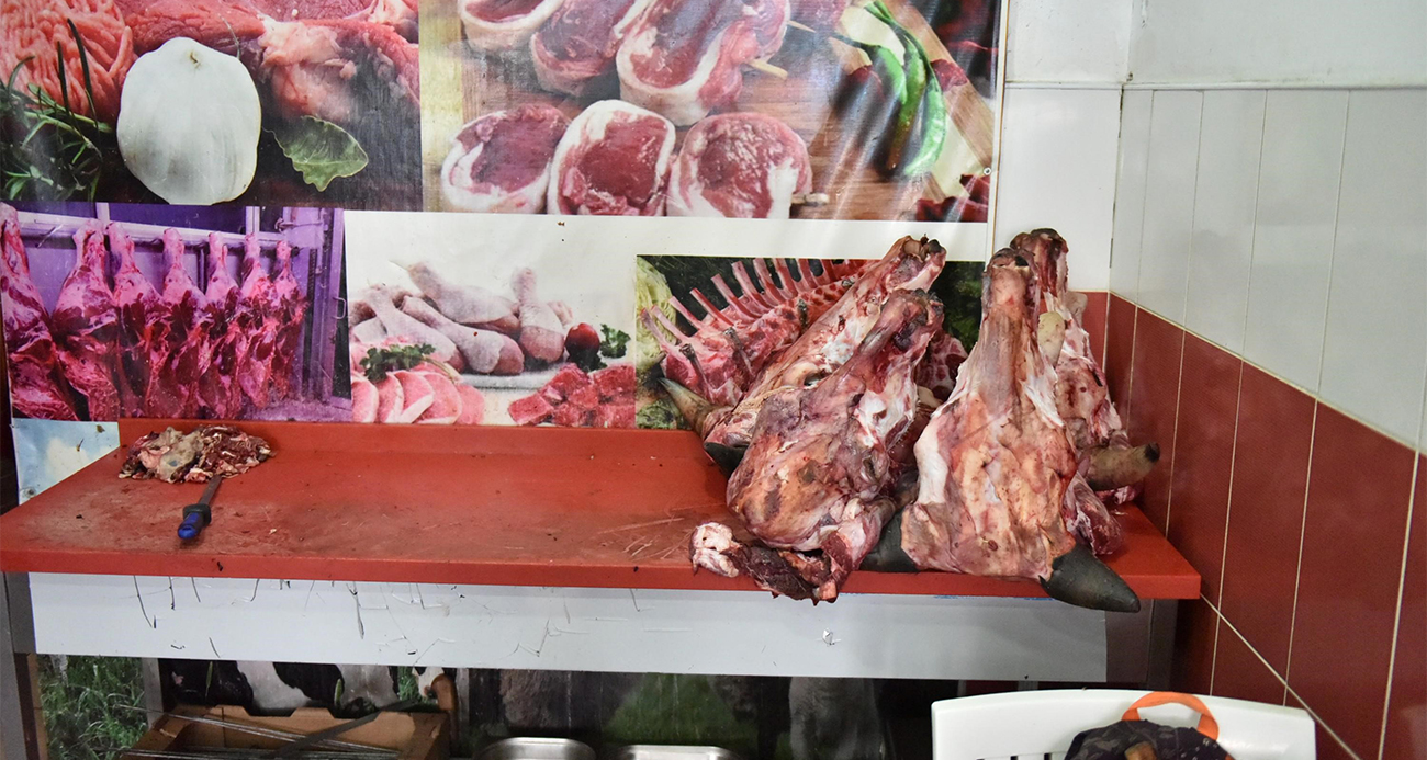 Marketten Alınan Yumurta Paketinde Hamam Böceği Yumurtaları Bulundu