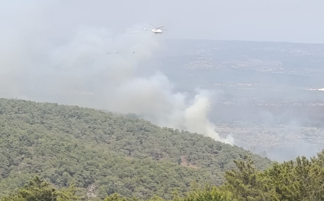 Mersin Silifke’de Orman Yangınına Sebep Olan Firma Sahibi ve Çalışanları Tutuklandı