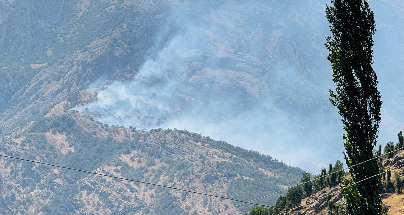 Şırnak Beytüşşebap’ta Korkutan Orman Yangını