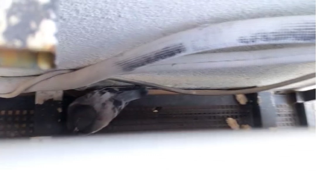 Sivas’ta İtfaiyenin Kahraman Elleri: Klima Havalandırmasına Sıkışan Güvercin Kurtarıldı