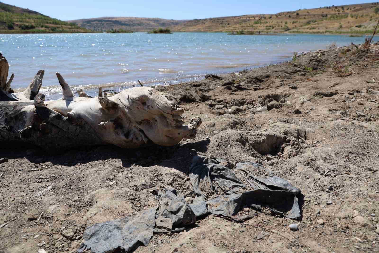 Sivas’taki 4 Eylül Barajı’nda Su Seviyesi Alarm Veriyor