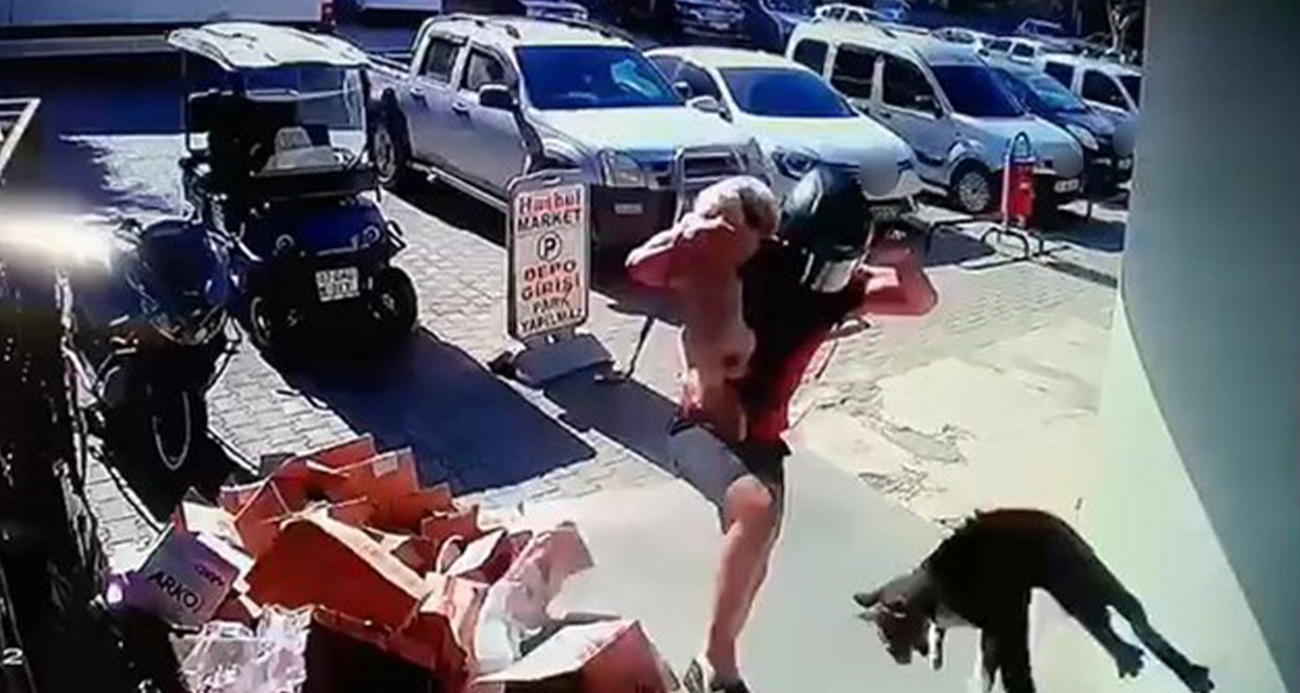 Alanya’da Kediye Şiddet: Kamera Kayıtlarına Yansıyan Olay