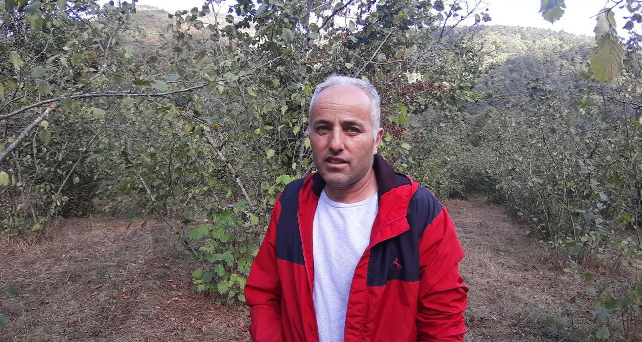 Ayı Saldırısında Hayatta Kalma Mücadelesi: Bolu’da Bir Çiftçinin Dehşet Dolu Anları