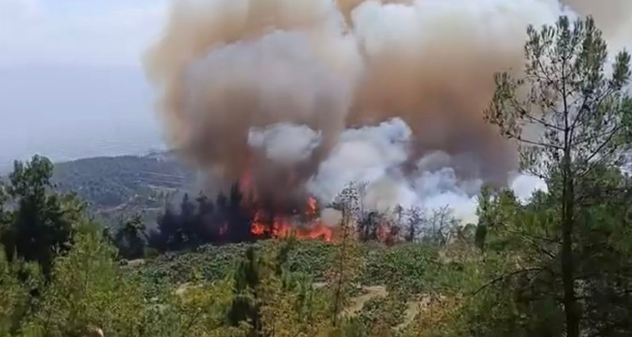 Bursa Osmangazi’de Orman Yangınına Büyük Müdahale
