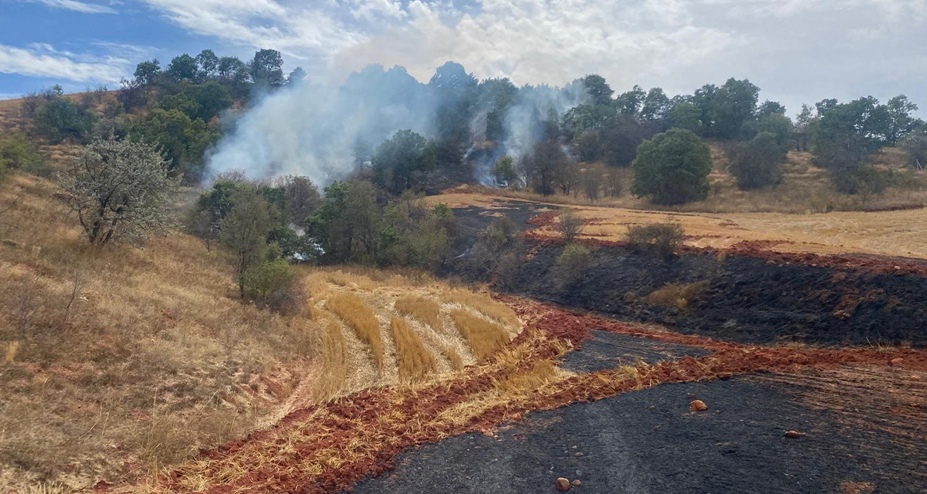 Çorum Alaca’da Büyük Arazi Yangını Meydana Geldi