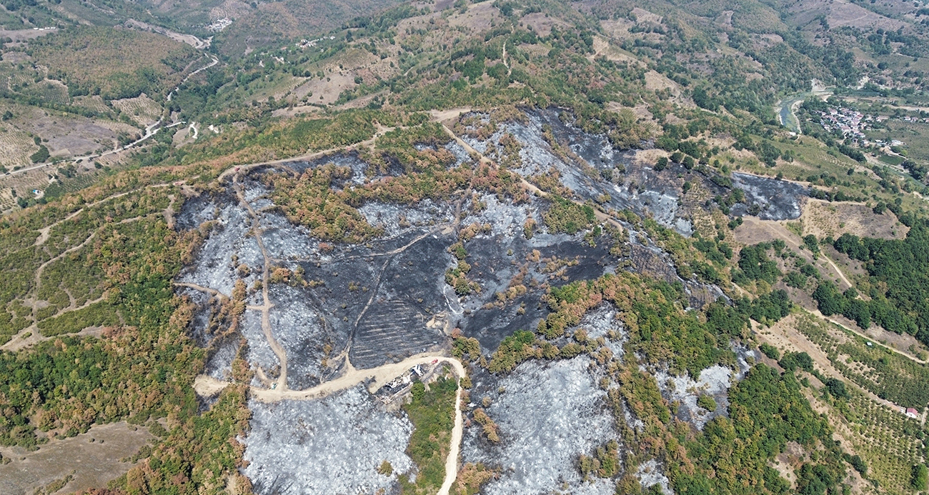 Düzce’de Orman Yangını Sonrası Havadan Hasar Tespiti Yapıldı