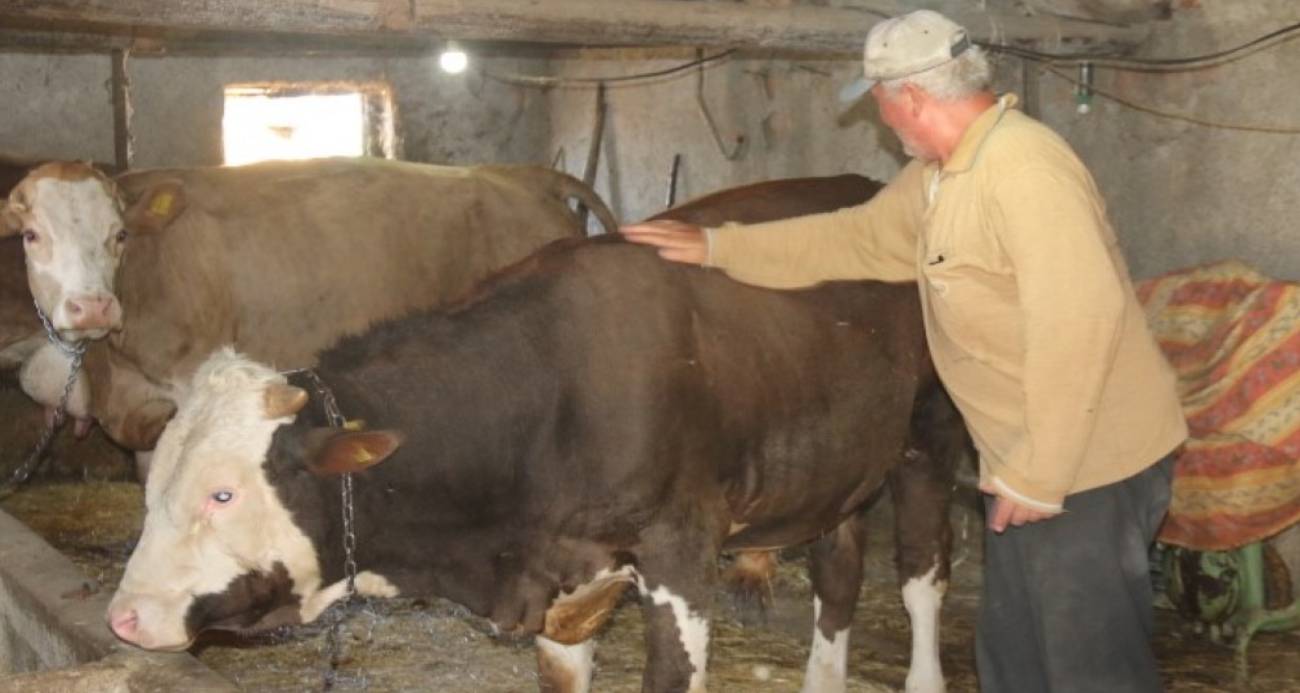 Emeklilikte Köy Hayatının Tadını Çıkaran Mühendis