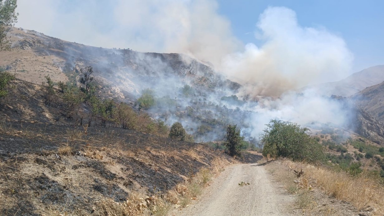 Hakkari Sınırında Çıkan Yangına Yerel Müdahale