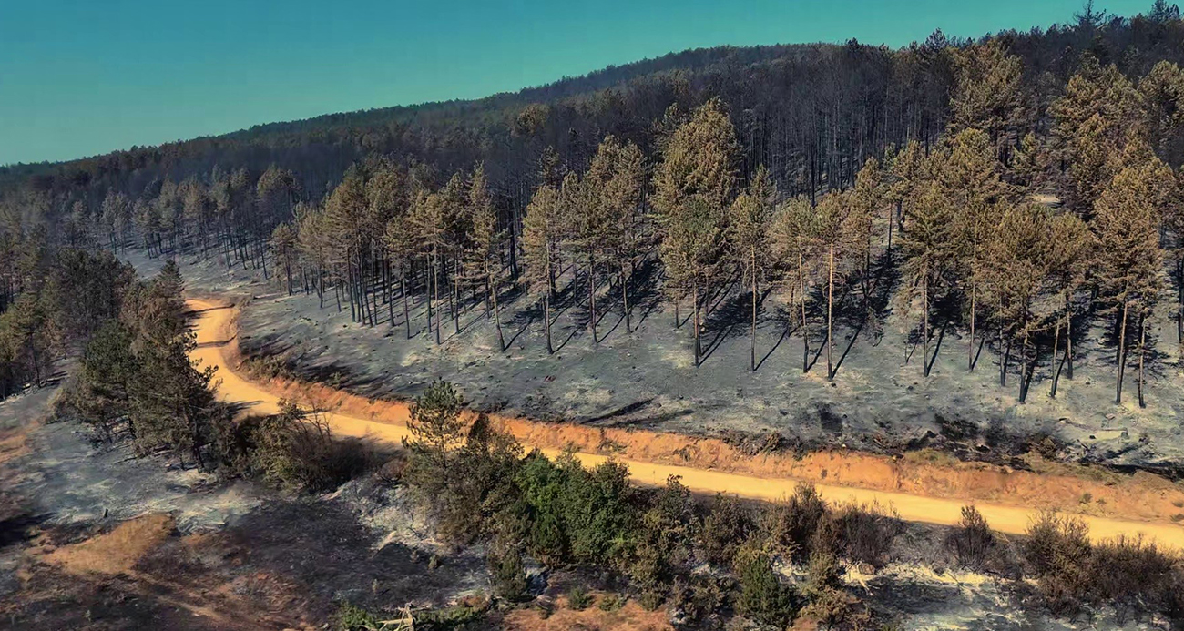 Karabük’te Orman Yangını Sonrası Yıkım Manzaraları