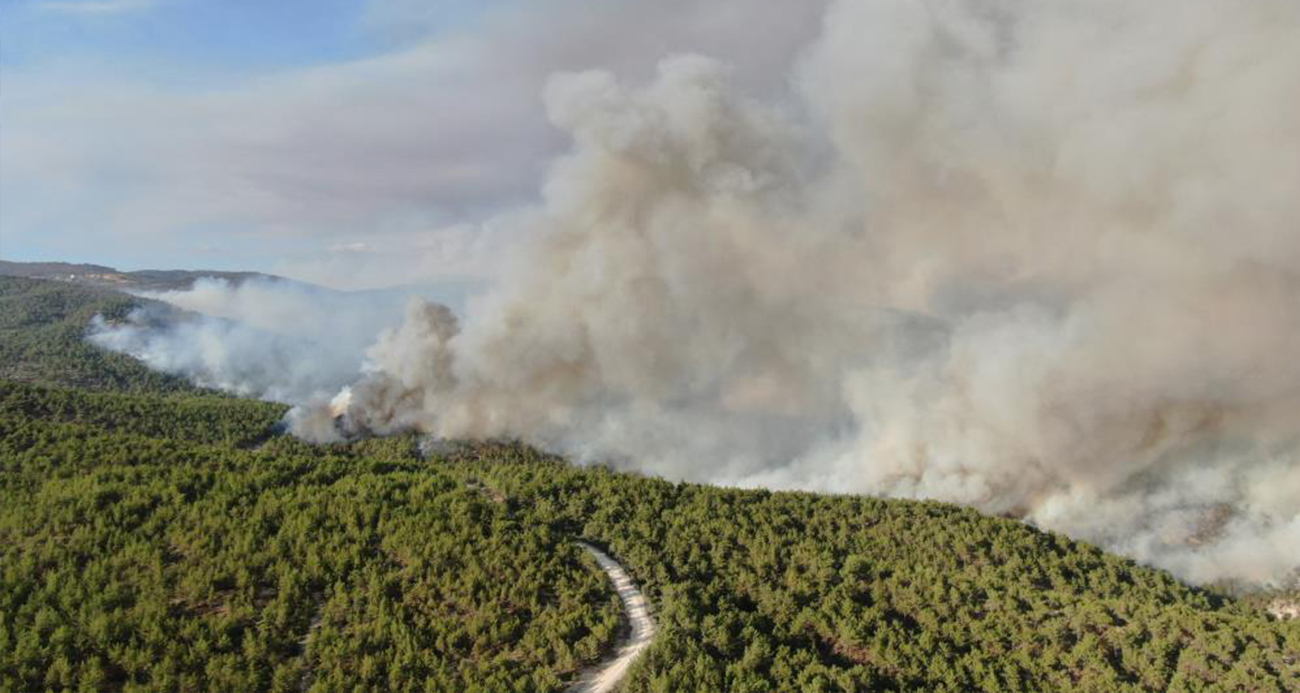 Kastamonu Araç’ta Devam Eden Orman Yangınlarına Rüzgar Engeli