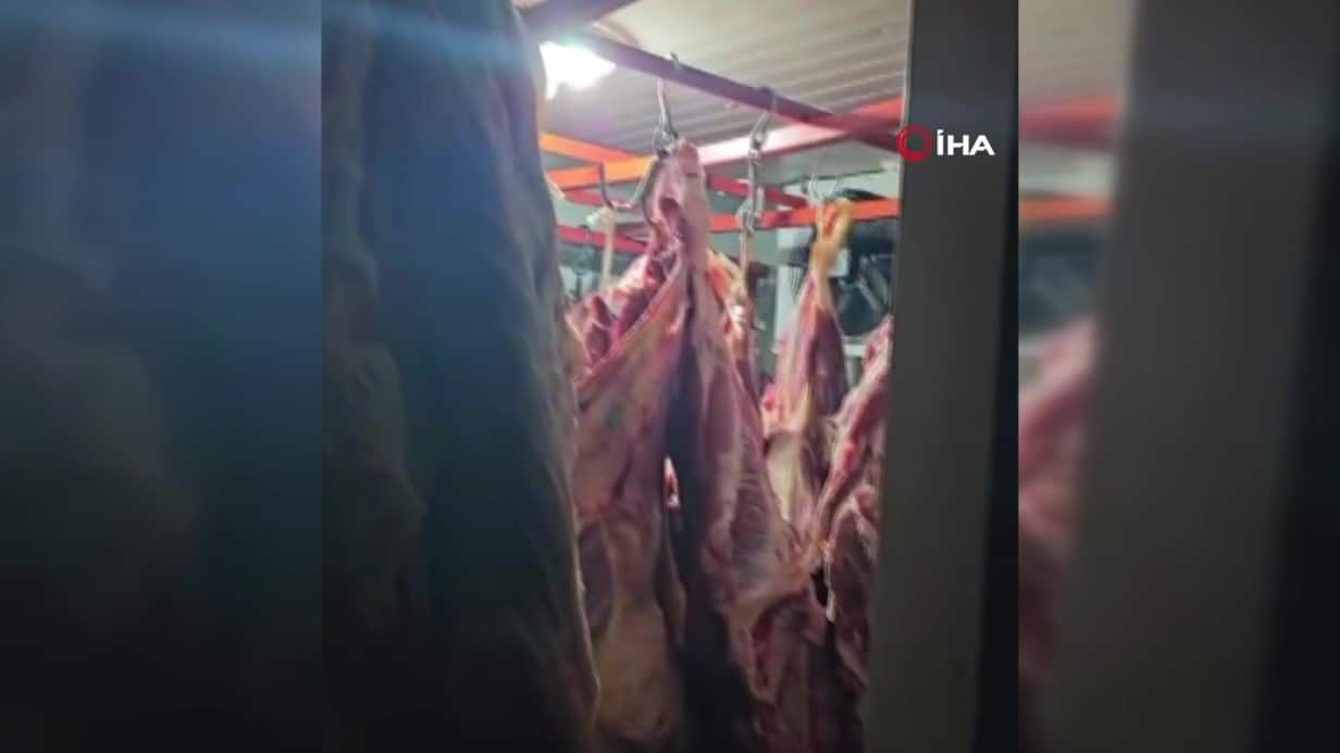 Kayseri’de Ahırdan 1,5 Ton Mühürsüz Et Çıktı