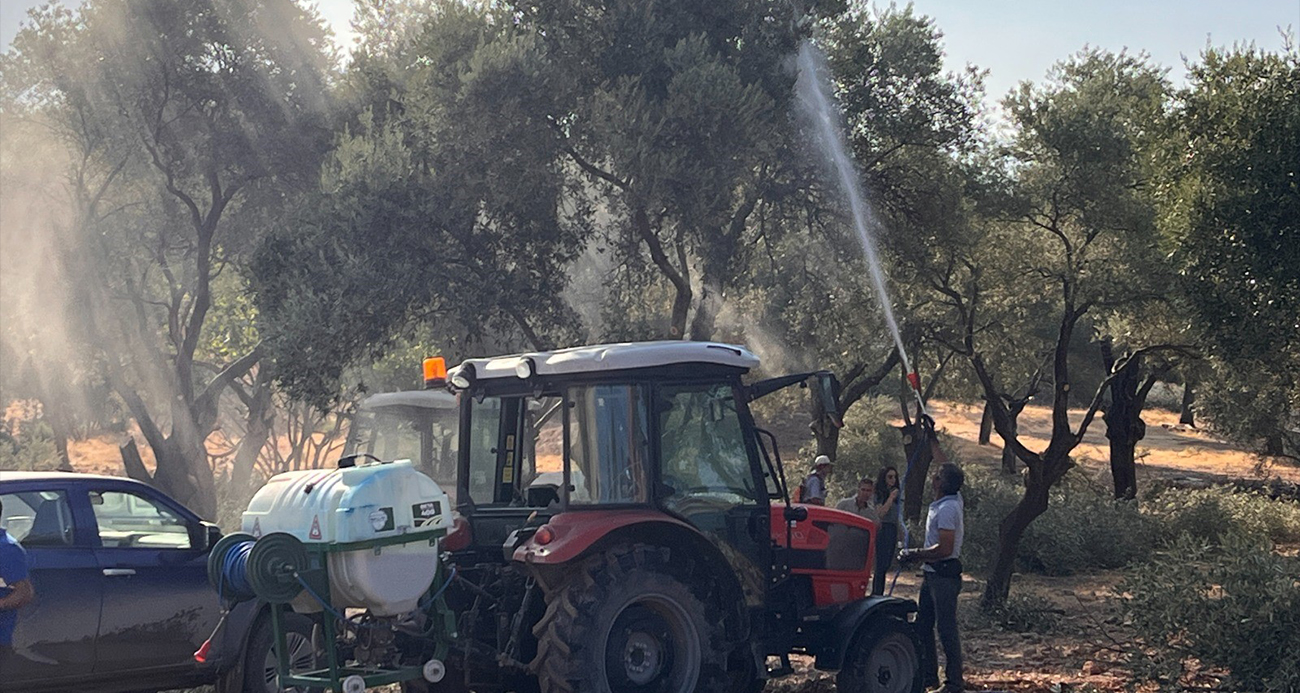 Milas’taki Zeytin Ağaçları Yeni Yerlerine Taşınıyor