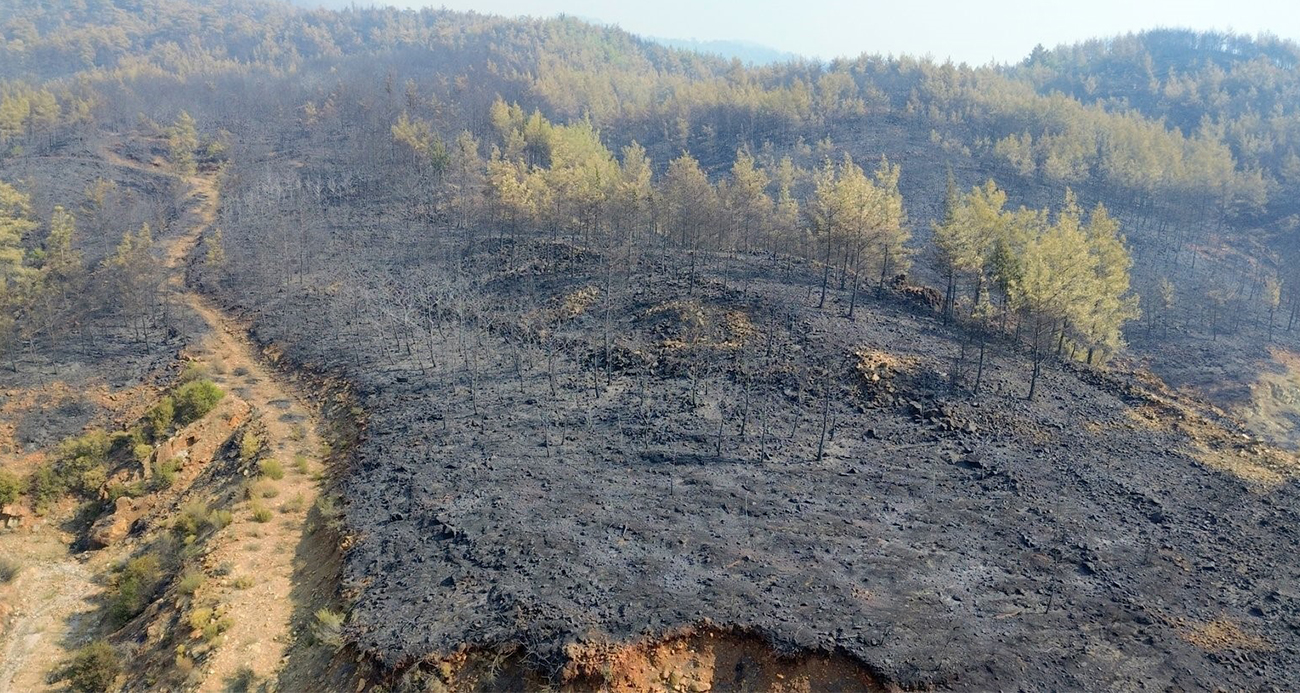 Muğla Köyceğiz’deki Yangın Kontrol Altında