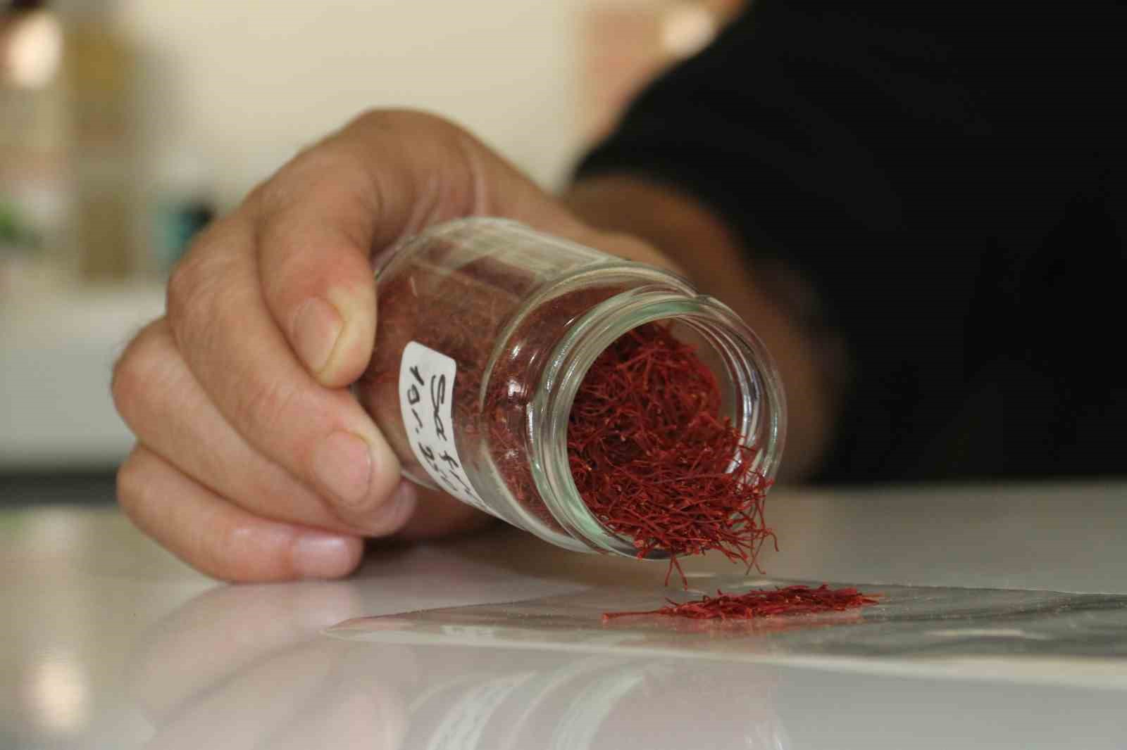 Safran Piyasasında Sahtekarlık: Mısır Püskülünden Yapılan Sahte Safranlar