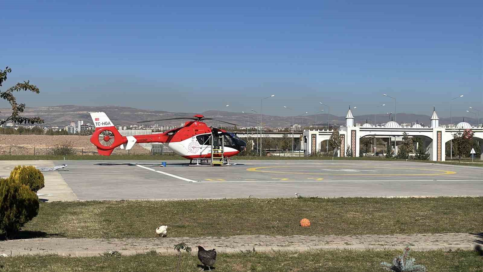 Sivas’ta Kaybolan Hayvanlarını Arayan Kadın, Ayı Saldırısına Uğradı