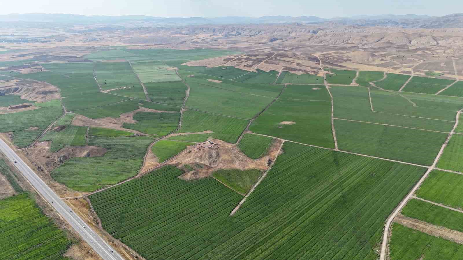 Sivas’ta Patates Üretimi Zirveye Oynuyor: 460 Bin Ton Rekolte Beklentisi