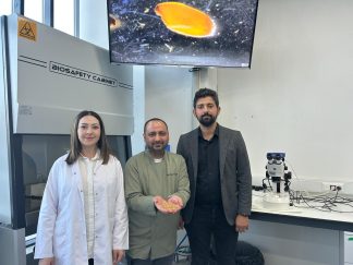 Sivas’ta Yetiştirilen Zeron Buğdayından Organik Bulgur Üretildi