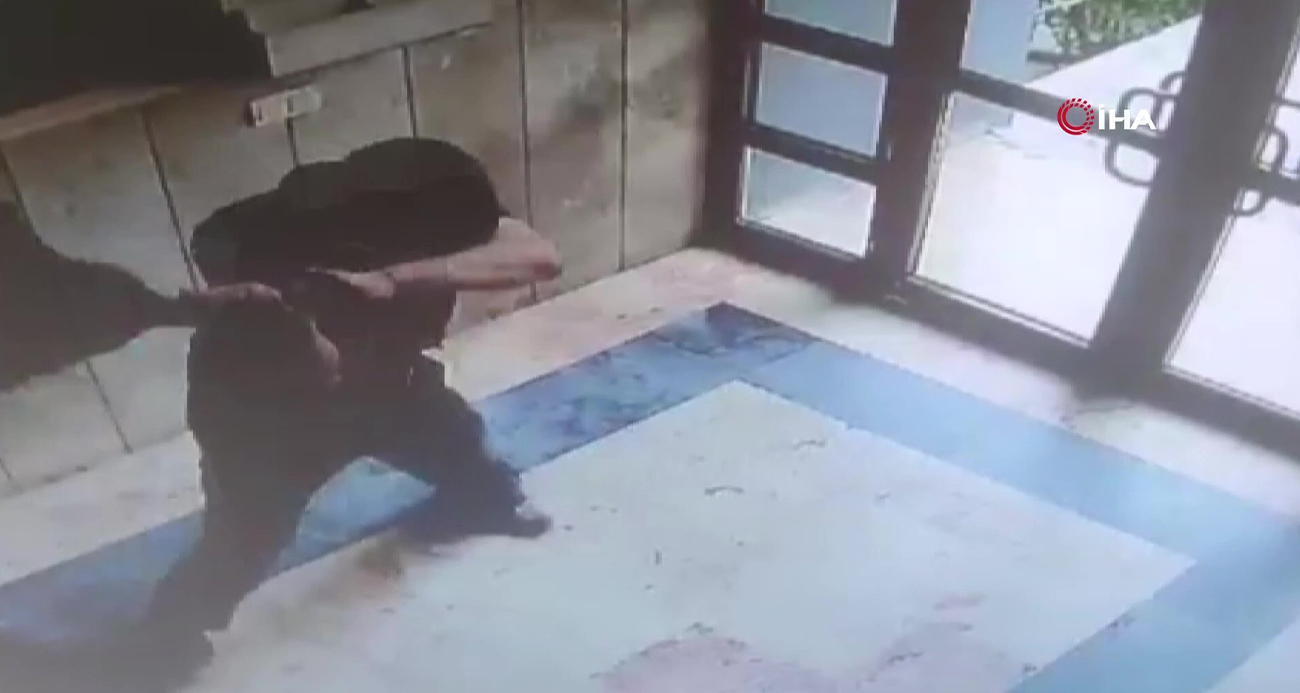 Başakşehir’deki Kedi Vahşetine Ağır Ceza: İşkenceciye 3 Yıl 8 Ay Hapis