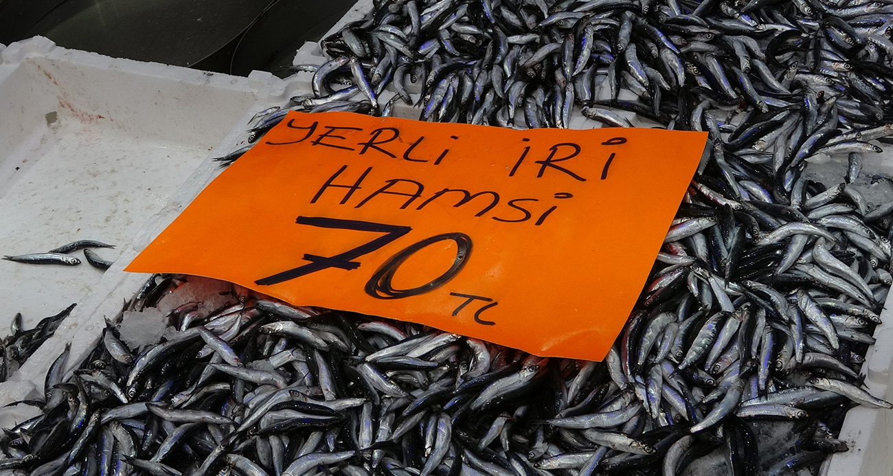 Hamsinin Kilosu 70 TL’ye Düştü, Ordu’da Çiğ Hamsi Şöleni