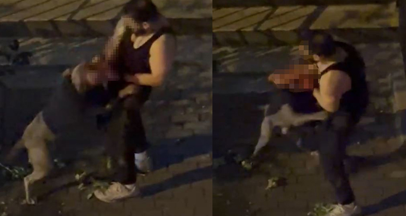 İstanbul Bahçelievler’de Köpek Dehşeti: Sahibini Isırdı