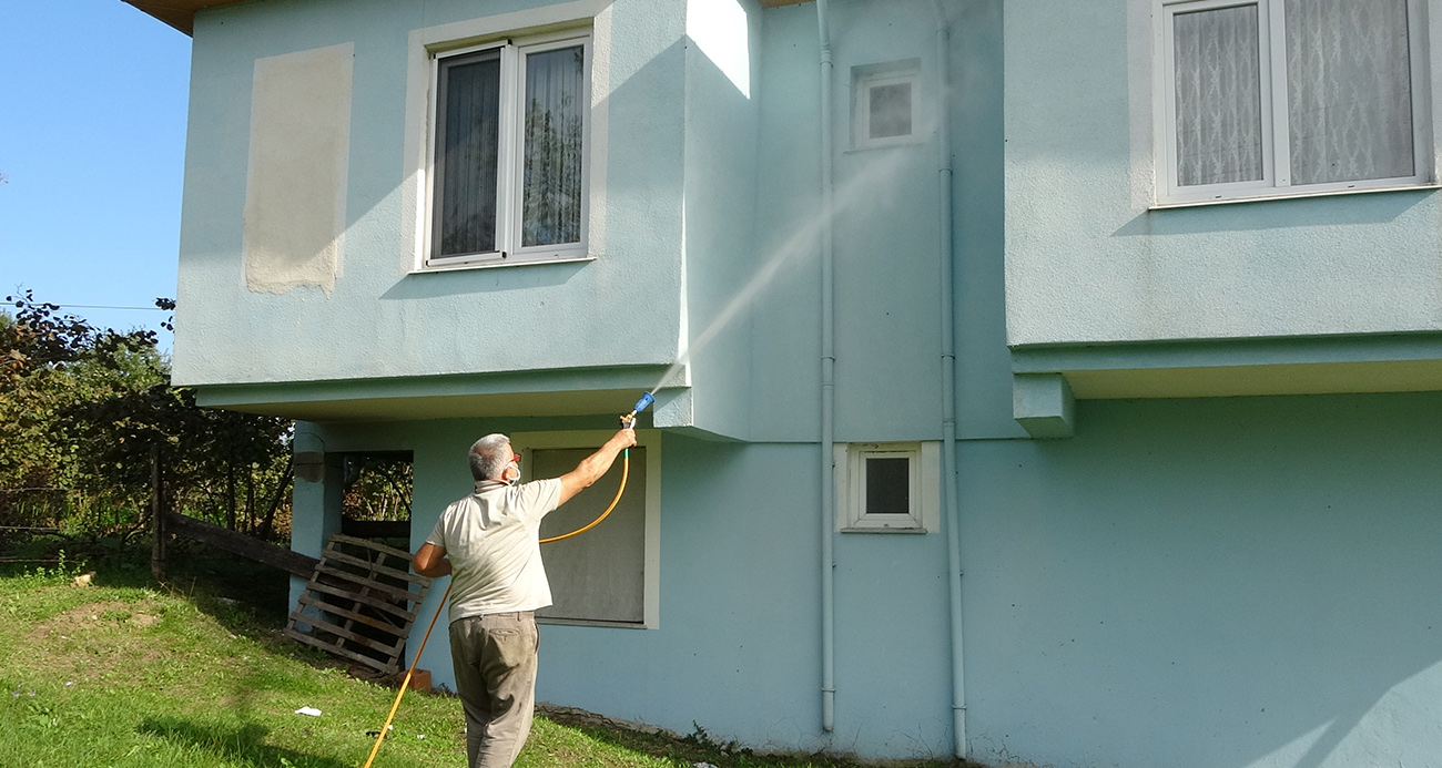 Ordu’da Kahverengi Kokarca Alarmı: Tarım Ürünleri ve Huzur Tehlikede