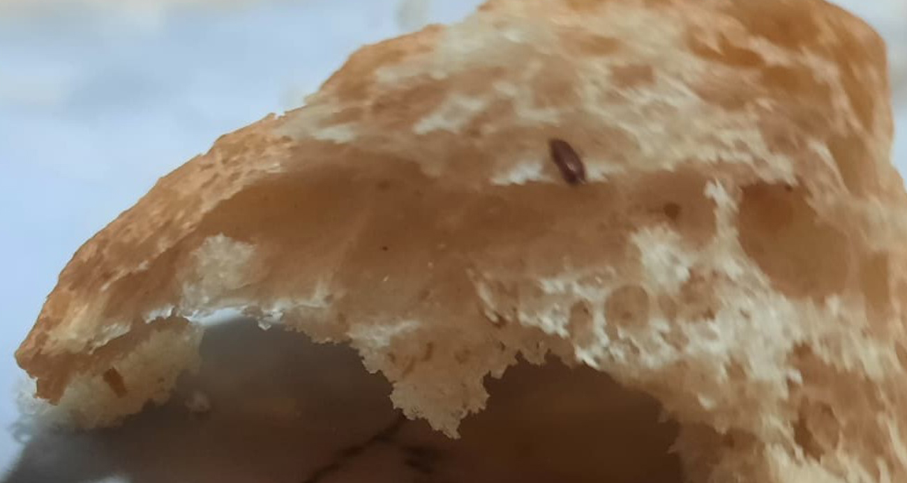 Pamukkale Halk Ekmek’te Sağlıksız Koşullar: Fare Dışkısı ve Un Kurdu Vatandaşları Mağdur Etti