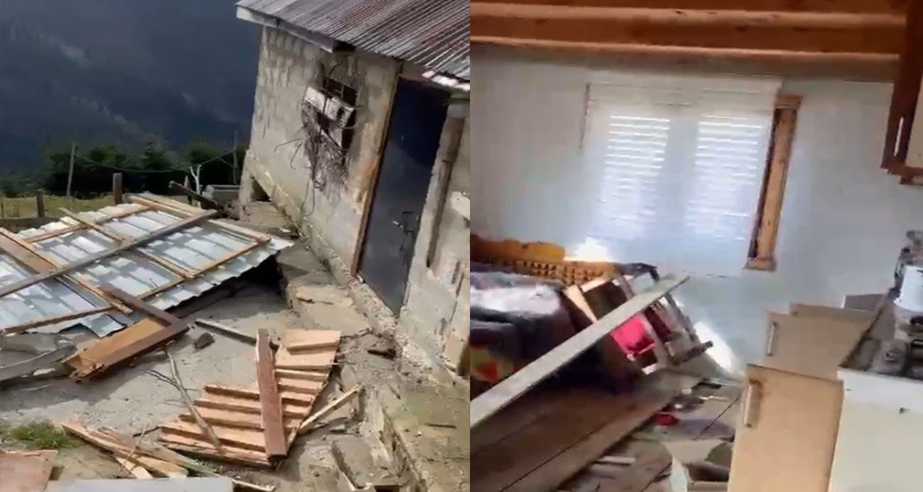 Rize Yaylaları Ayı İstilasına Uğradı: 20 Ev Zarar Gördü