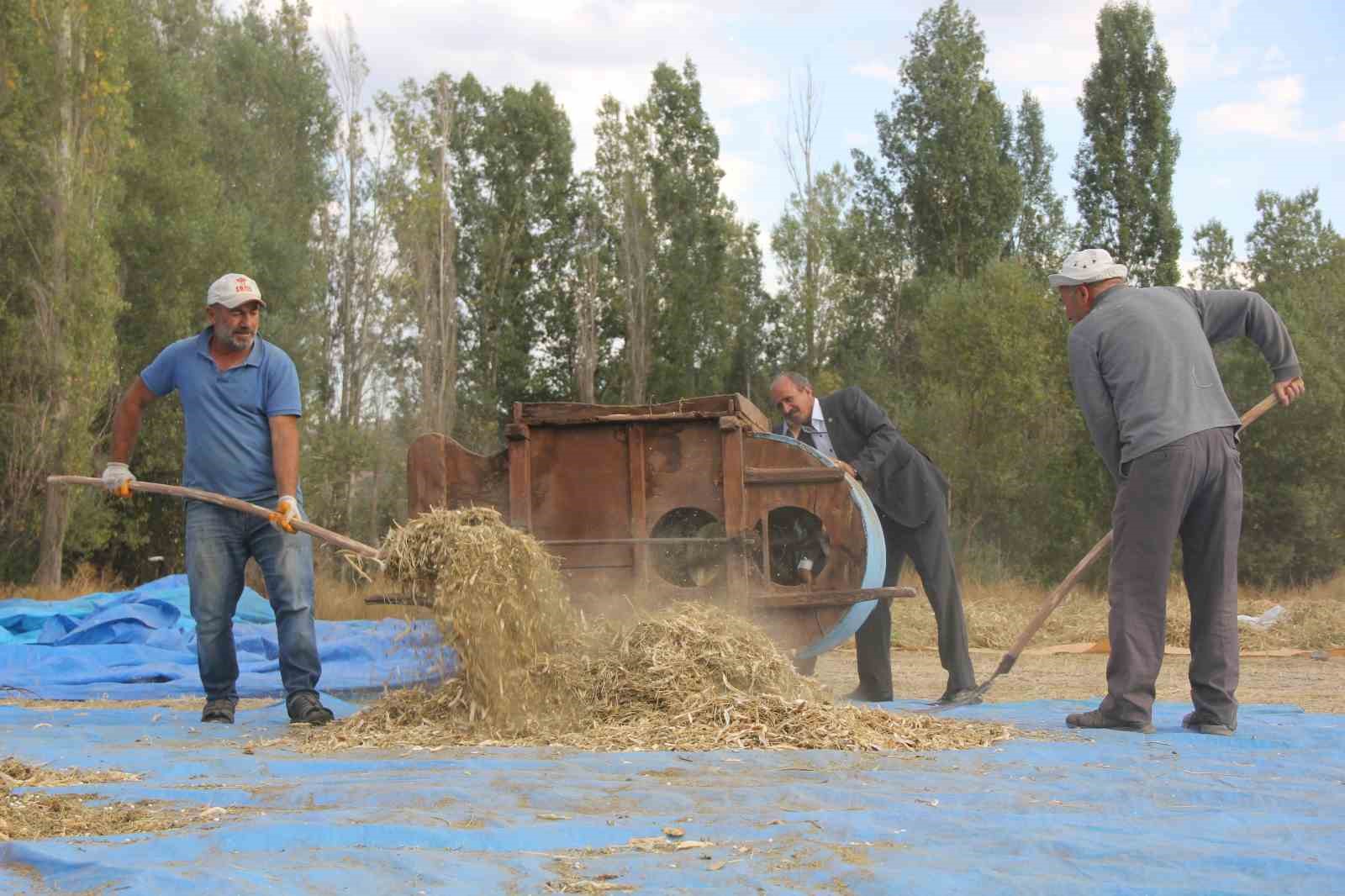 Sivas Zara’da Ata Tohumları İle Geleneksel Fasulye Üretimi