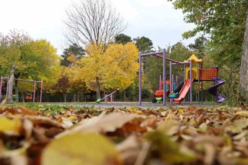 Sivas’ın Gözde Mesire Alanı Paşabahçe, Sonbaharın Huzuruna Büründü