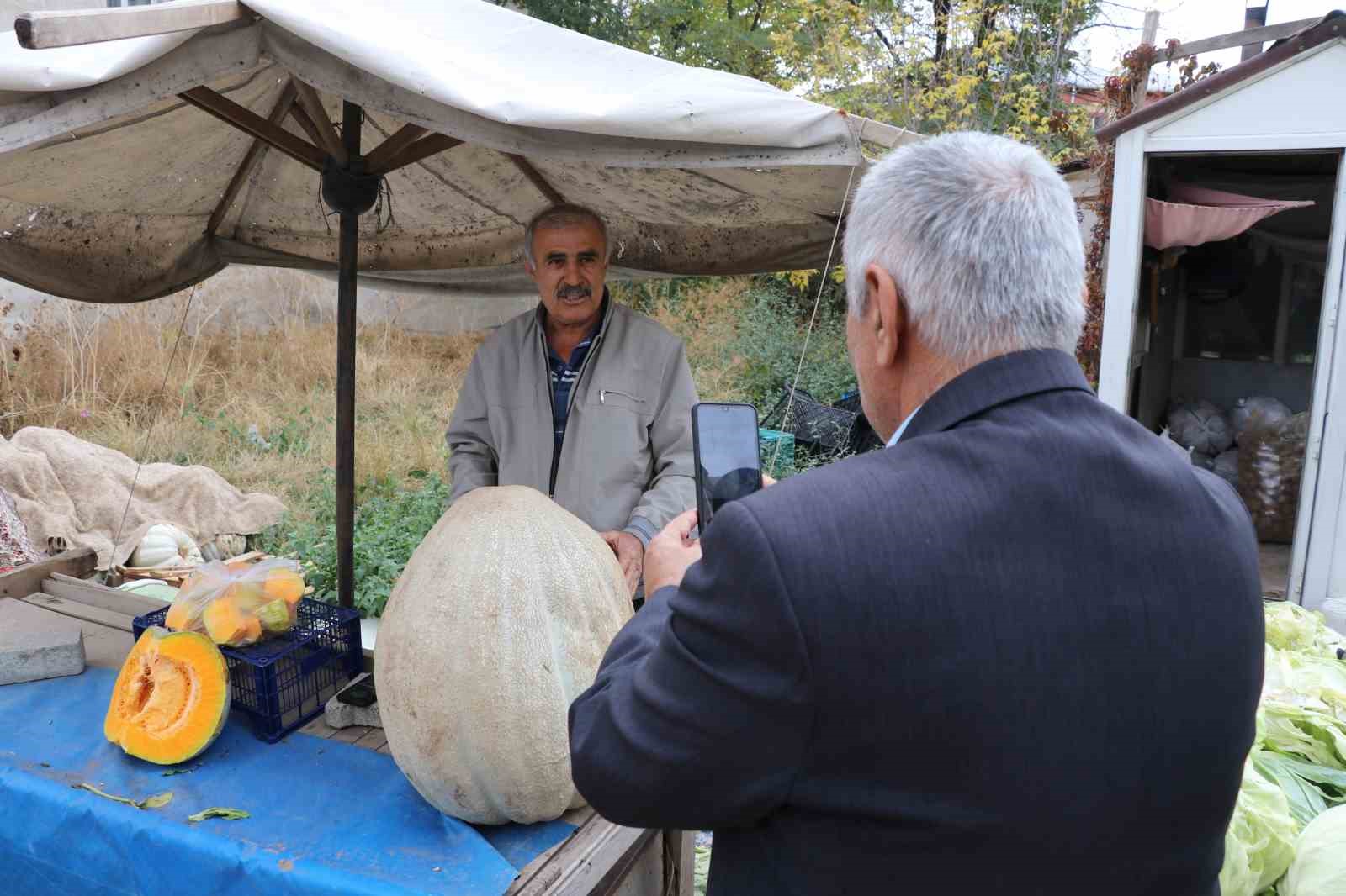 Sivas’ta 51 Kilogramlık Dev Bal Kabağı Büyük İlgi Gördü