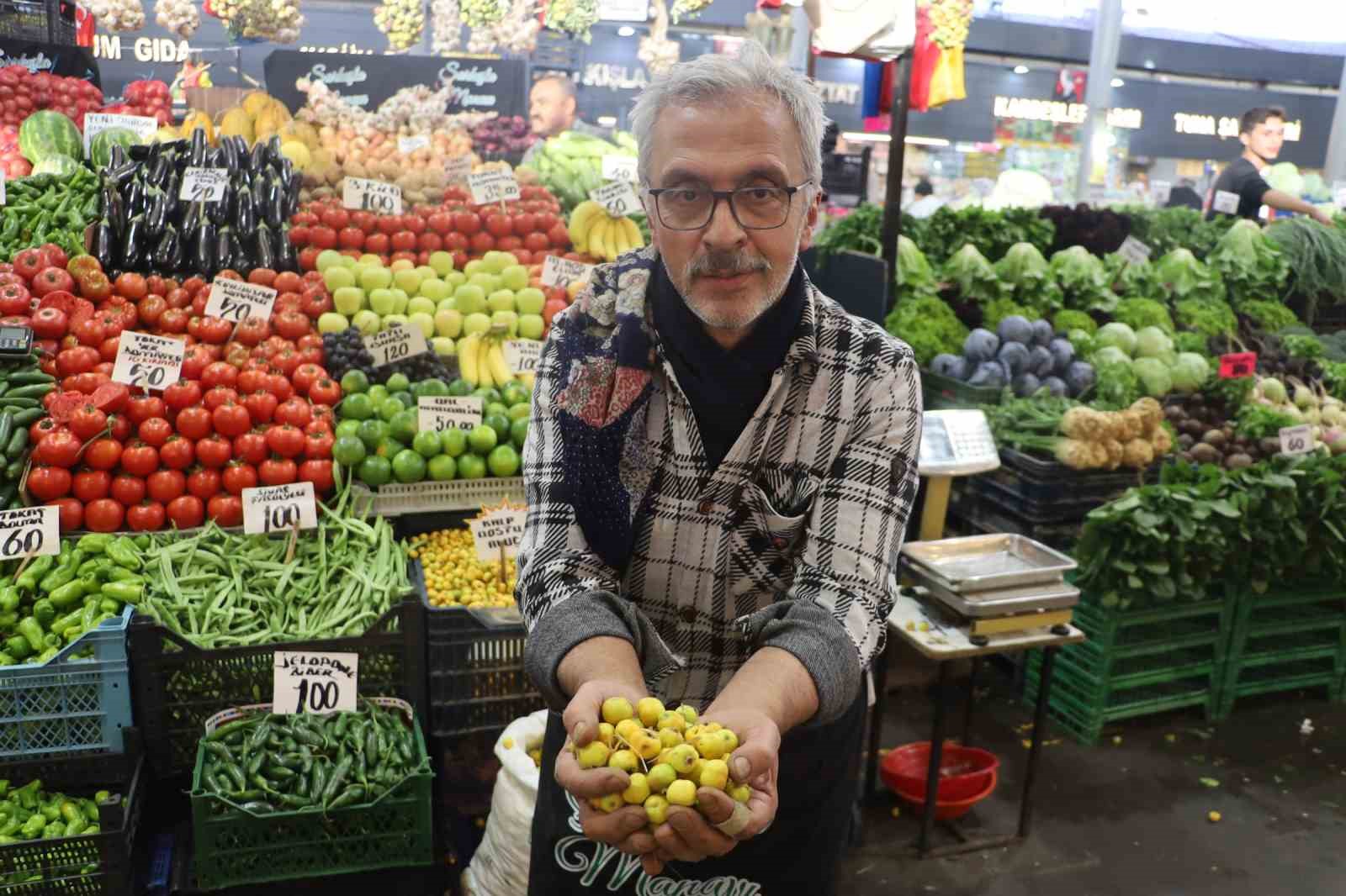 Sivas’ta Alıç Meyvesinin Hasat Zamanı Geldi: Kalp Dostu Lezzet Pazarlarda