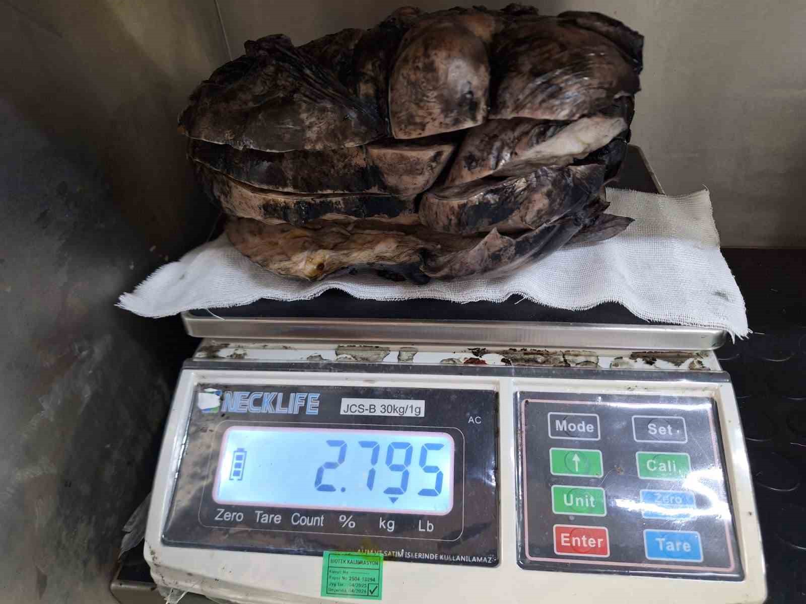 Sivas’ta Gerçekleştirilen Operasyonda 3 Kilogramlık Tümör Başarıyla Çıkarıldı