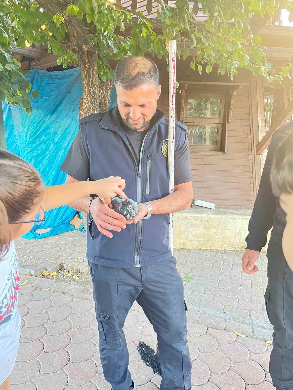 Sivas’ta İtfaiye Ekipleri, Süs Havuzunda Sıkışan Kuşu Kurtardı