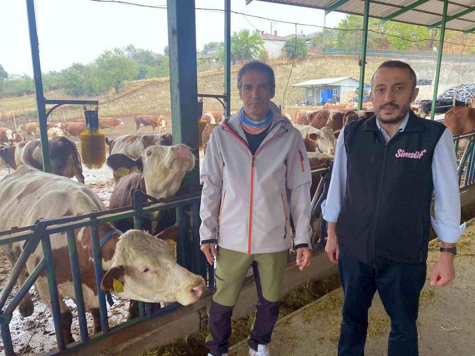 Yapay Zeka Teknolojisi, Süt Hayvancılığında Devrim Yaratıyor