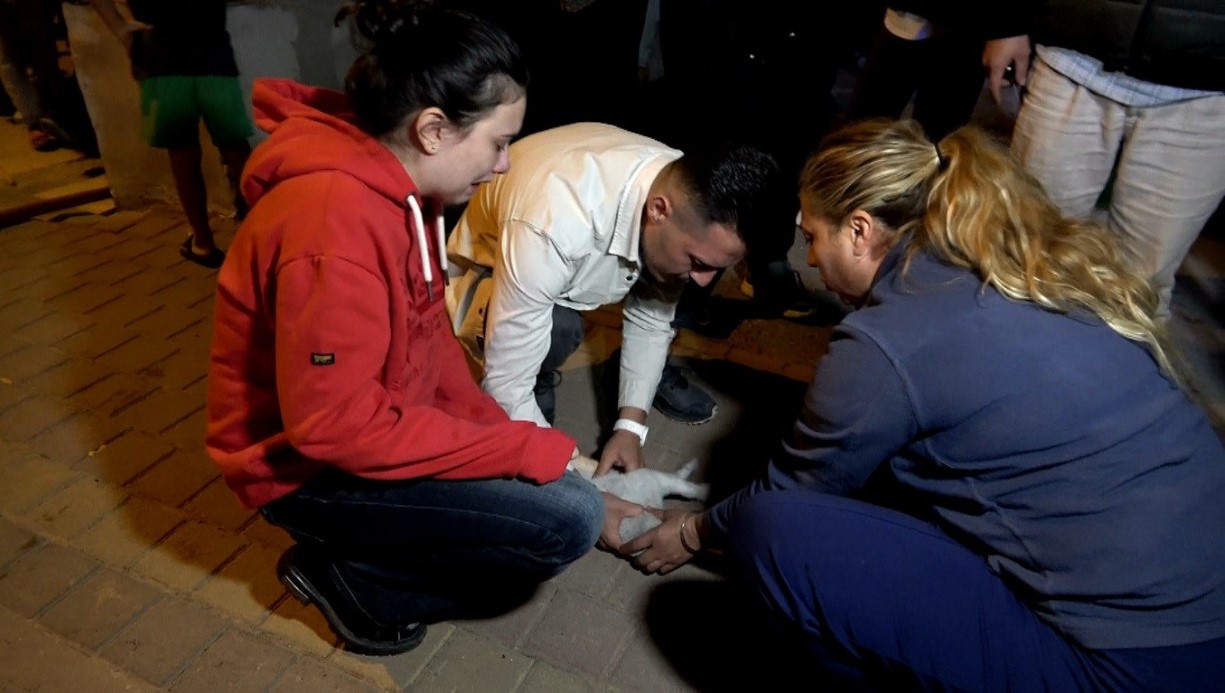 Antalya Kepez’de Ev Yangını: İki Kedi Hayatını Kaybetti