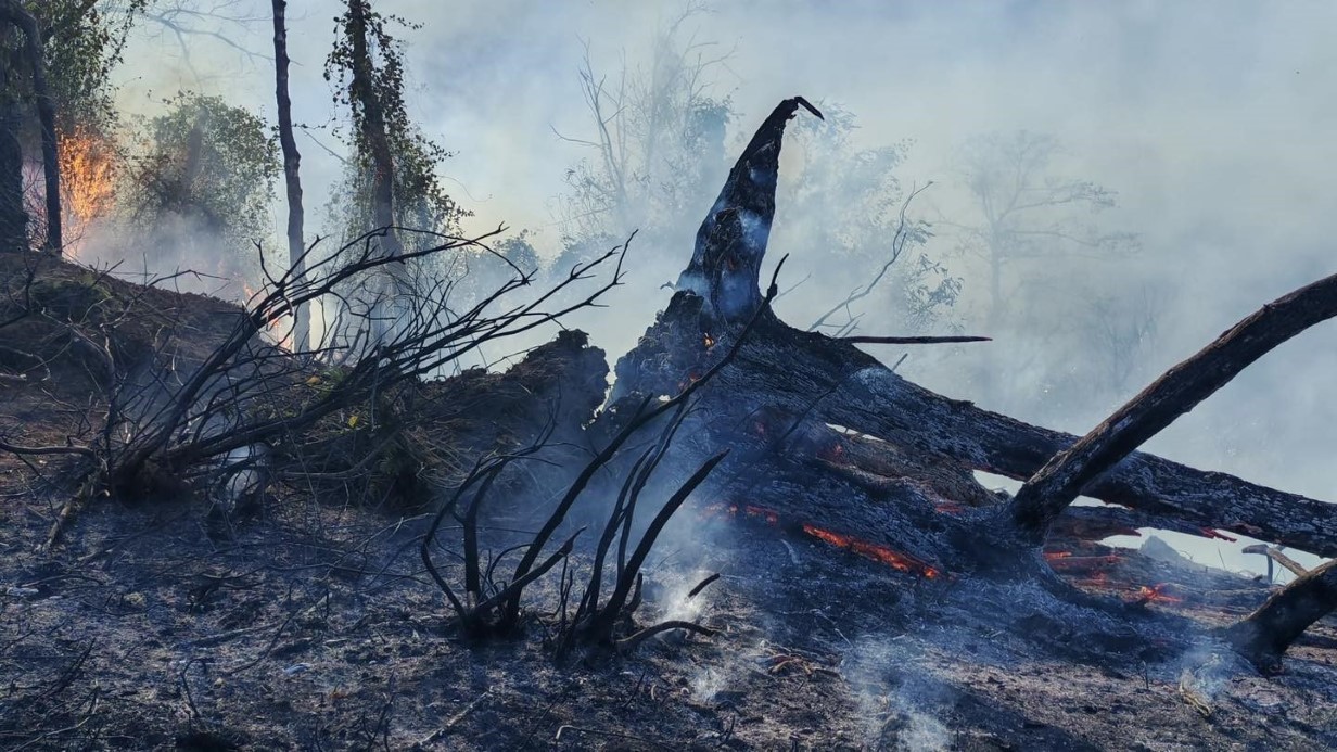 Artvin Hopa’da Orman Yangını Devam Ediyor