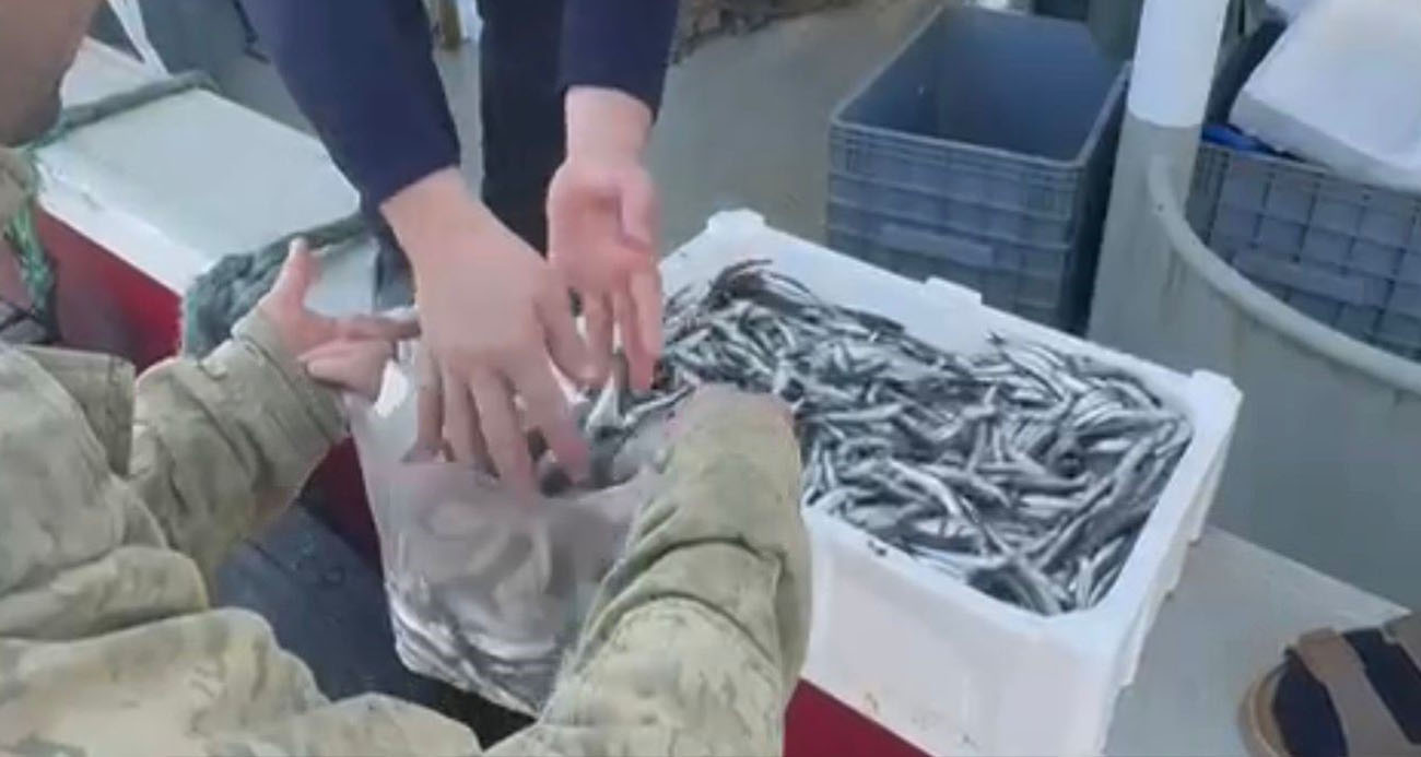 Balıkesir’de Balıkçılar Yüksek Fiyatları Protesto Etti: Ücretsiz Hamsi Dağıtımı