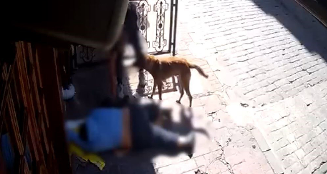 Beyoğlu’nda İnanılmaz Olay: Baygın Adamın Telefonu Çalındı