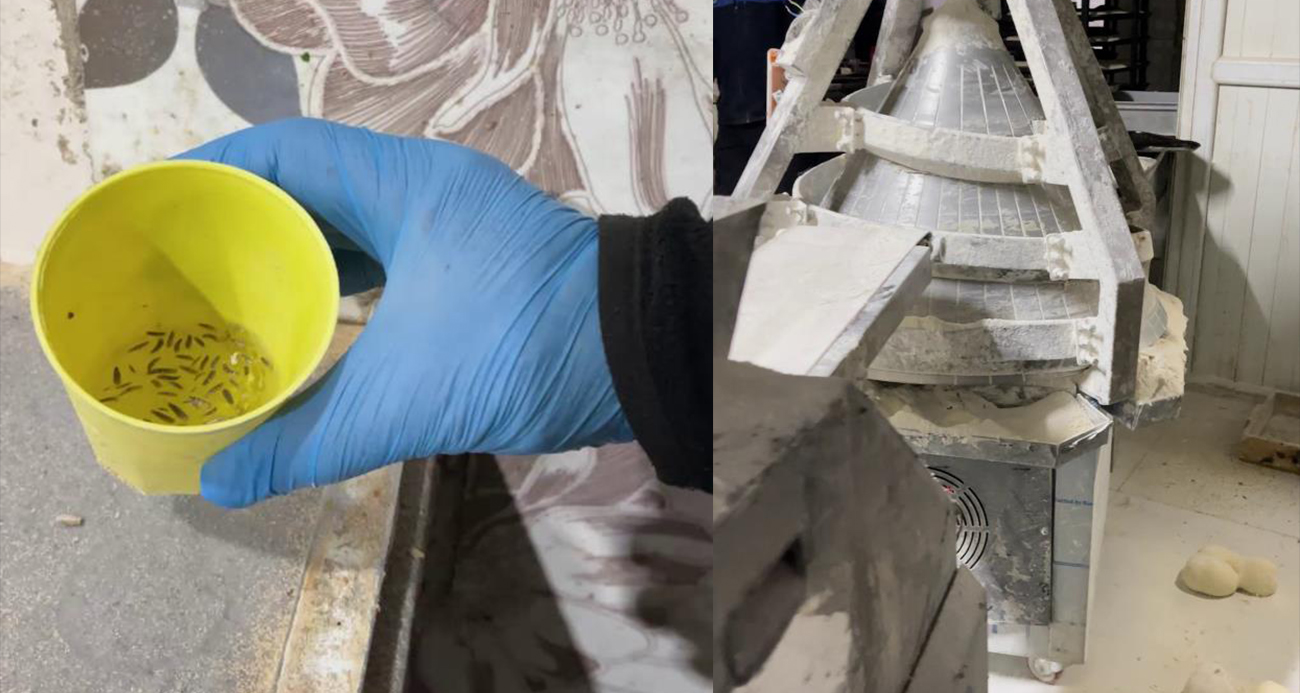 Kırıkhan’da Fırın Denetimleri Sırasında Şoke Eden Görüntüler